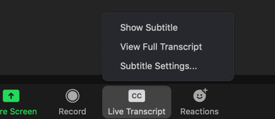 Live Captions and Transcription in Zoom